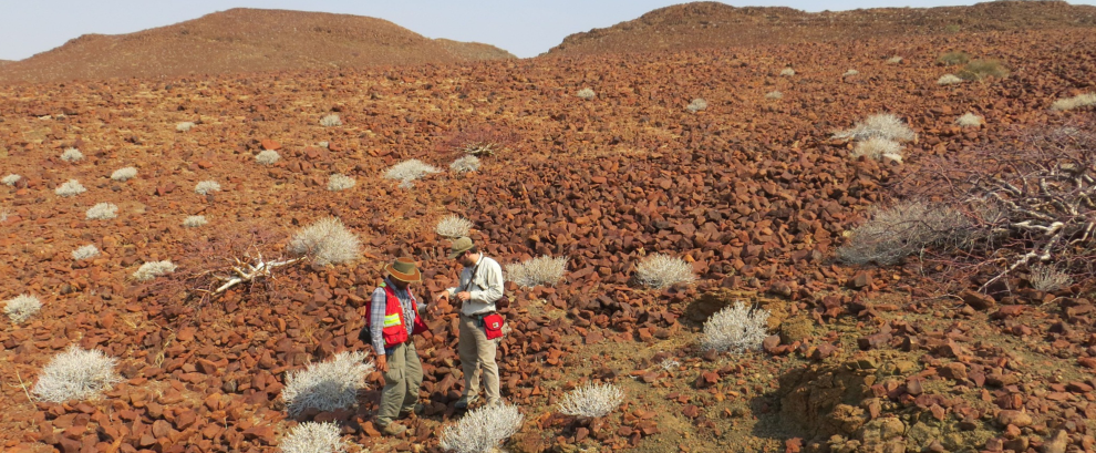 Etendeka, Namibia